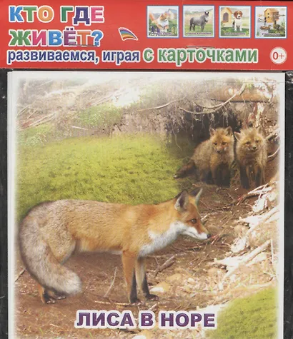 Обучающие карточки. Кто где живет? - фото 1