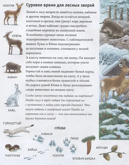 Зима. Находилки-развивалки. Специальное предложение - фото 4