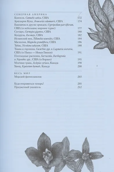 Вокруг света за 80 растений - фото 7