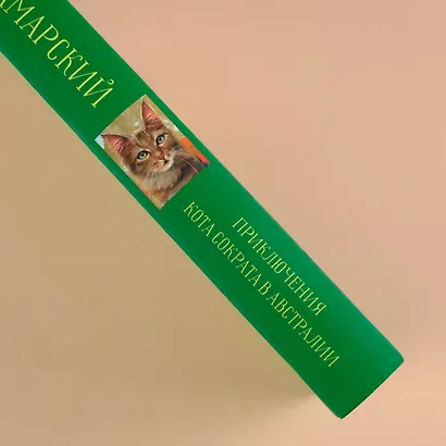 Приключения кота Сократа в Австралии - фото 6