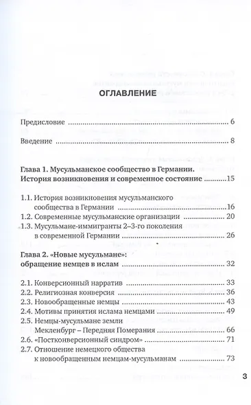 Немцы-мусульмане в современной Германии. Кто они? - фото 3