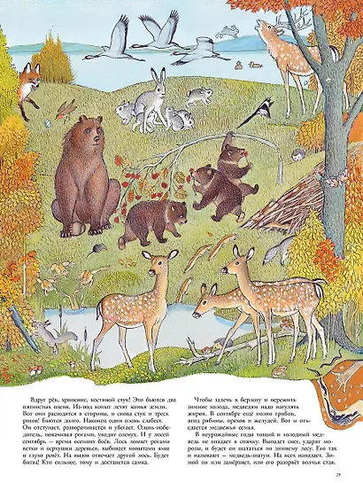 В лесу: энциклопедия в картинках - фото 3