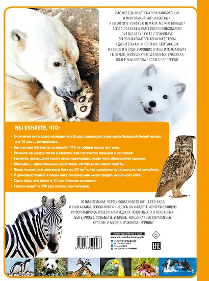 Животные - фото 2