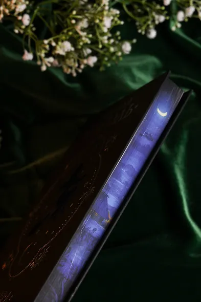 Вечера на хуторе близ Диканьки - фото 10