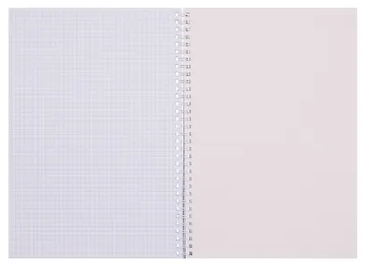 Тетрадь А4 96л кл. "Обнимашки" спираль, мел.картон, выб.лак, двойная обложка, офсет - фото 2