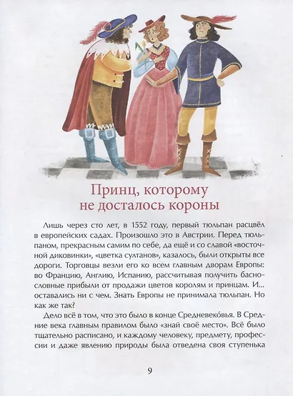 Тюльпан. Цветок султанов и мельников - фото 5