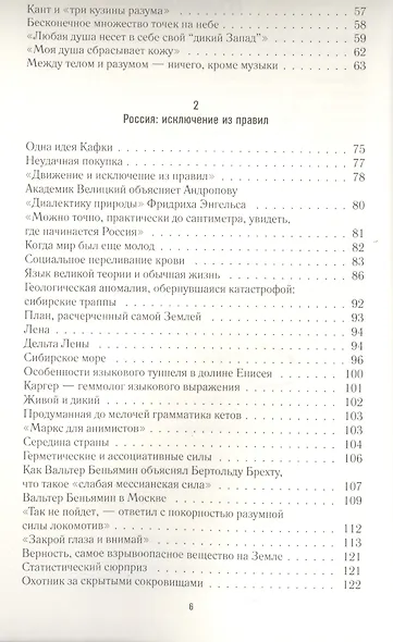 Контейнер Россия - фото 3