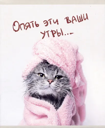 Тетрадь А5 48л лин. "Утро кошечки (Эксклюзив)" скрепка, мелов.картон, поля - фото 5