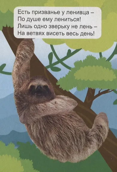 Животные джунглей - фото 5