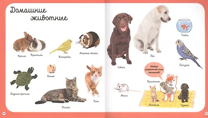 Главная книга малыша о животных - фото 2