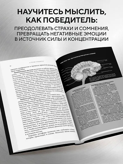 В голове победителя. Как тренировать мозг так же, как мышцы - фото 5