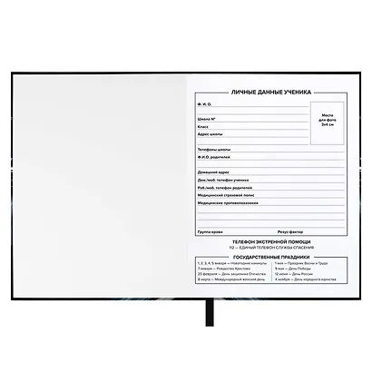 Дневник шк. "Урбан авто" тв.переплёт, глянц.ламинация, пантон, ляссе, универс.шпаргалка - фото 9