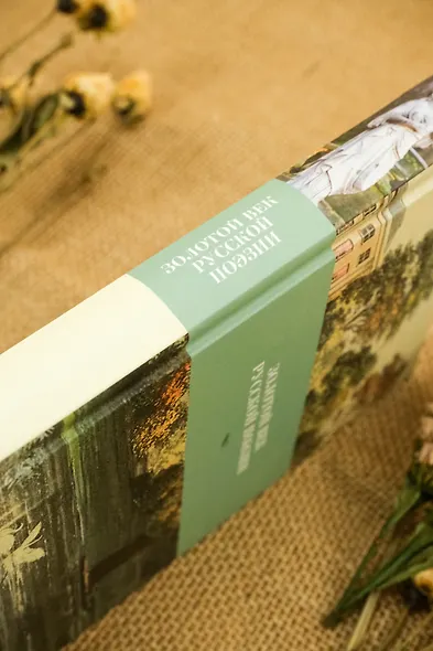 Золотой век русской поэзии - фото 12