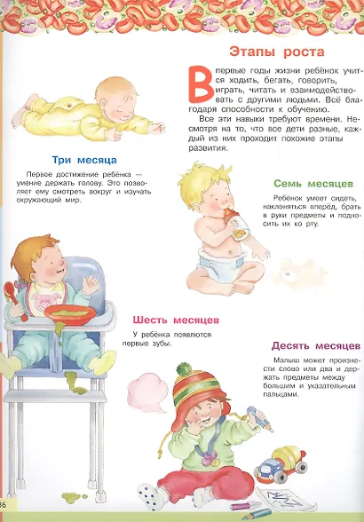 Тело человека. Моя первая энциклопедия с наклейками - фото 4