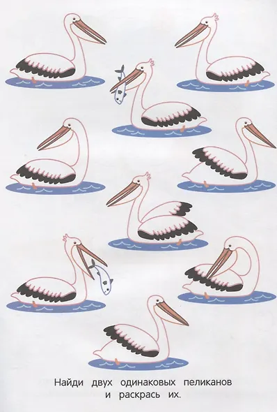 Саванна и джунгли - фото 3