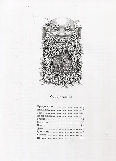 Природоведение (артбук художника) - фото 8