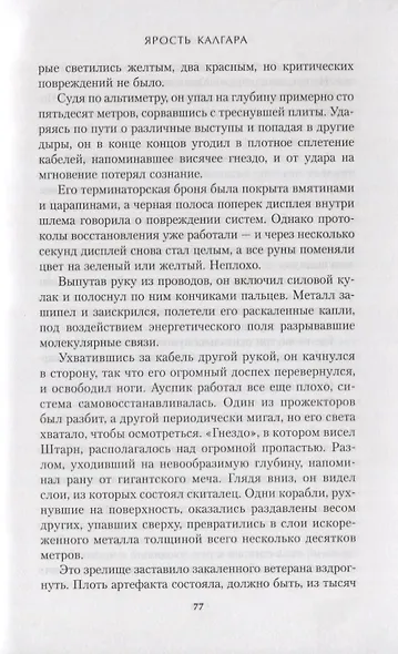 Ярость Калгара - фото 5