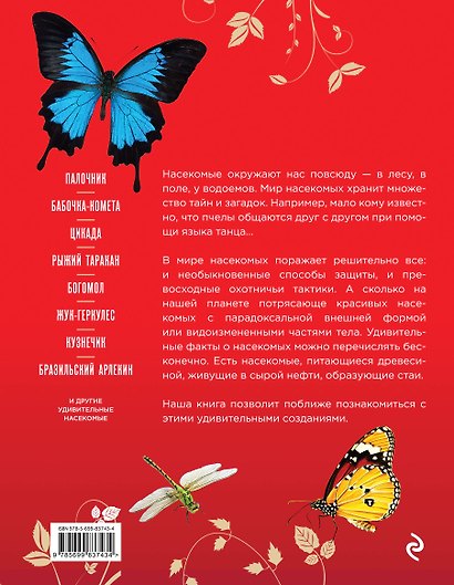 Самые редкие, красивые и удивительные насекомые мира - фото 2