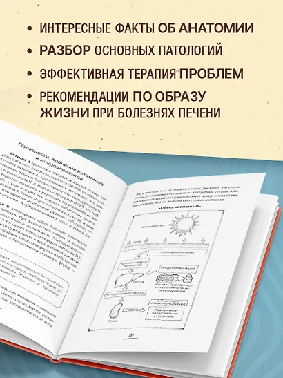 Печень без проблем. Гепатолог о том, что разрушает печень и как с этим справиться - фото 5