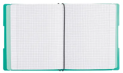 Тетрадь 96 листов, клетка/линейка, "DoubleBook. Еловый" - фото 4