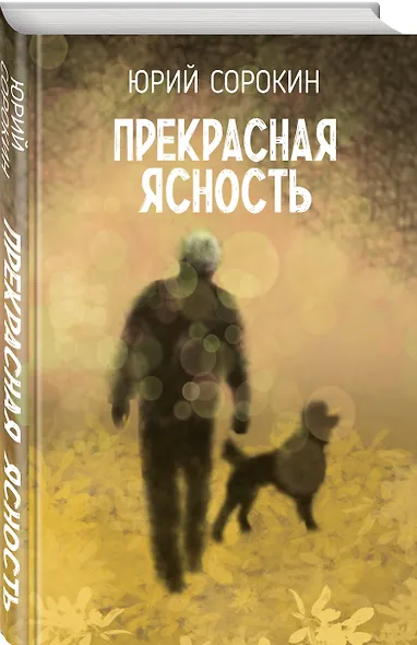Прекрасная ясность - фото 3