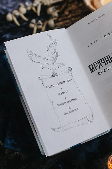 Мрачный Взвод. Двенадцать дней Коляды - фото 10