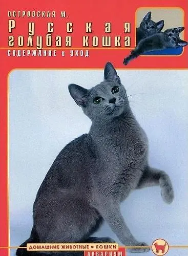 Русская голубая кошка. Содержание и уход (цвет.) - фото 2