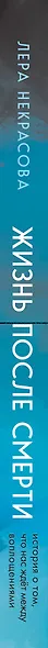 Жизнь после смерти. История о том, что нас ждет между воплощениями, и методика подготовки к посмертному существованию - фото 8