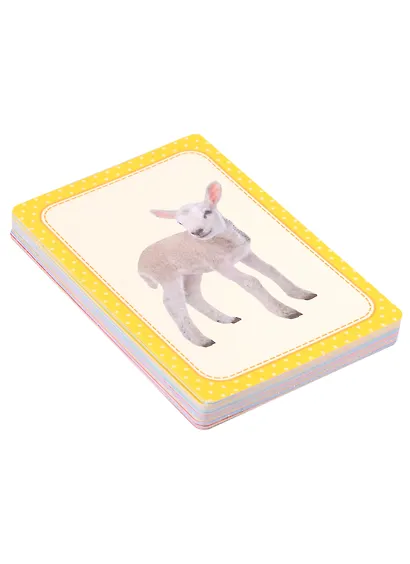 Умные карточки Монтессори. Животные (32 карточки) - фото 2