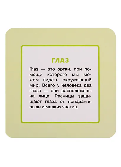 УМНЫЙ ЧЕМОДАНЧИК. ТЕЛО ЧЕЛОВЕКА - фото 4