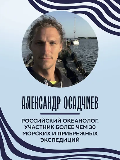 Этот неизвестный океан: как работают приливы, рождаются шторма и живут невидимые создания в морских глубинах - фото 8