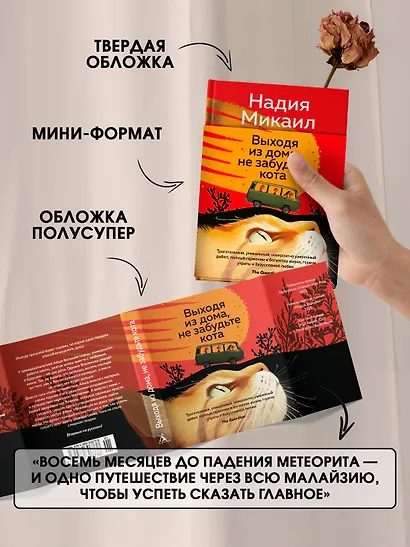 Выходя из дома, не забудьте кота - фото 6