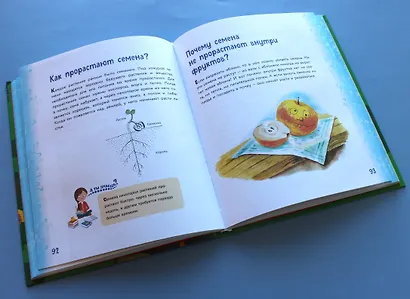 Миллион вопросов о живой и неживой природе, человеке и обществе и самых разных любопытных вещах - фото 6