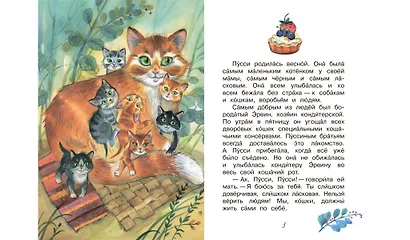 Пусси-кошка кондитера - фото 3