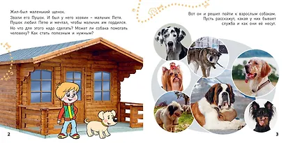 Какие бывают собаки? - фото 2