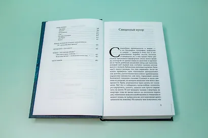 Священный мусор - фото 11