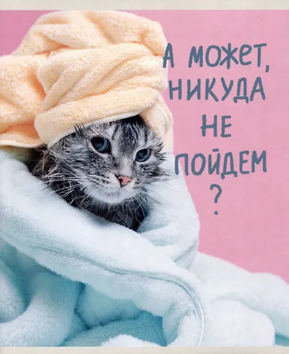 Тетрадь А5 48л лин. "Утро кошечки (Эксклюзив)" скрепка, мелов.картон, поля - фото 3