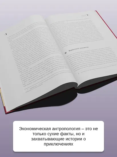 Экономическая антропология: История возникновения и развития - фото 6