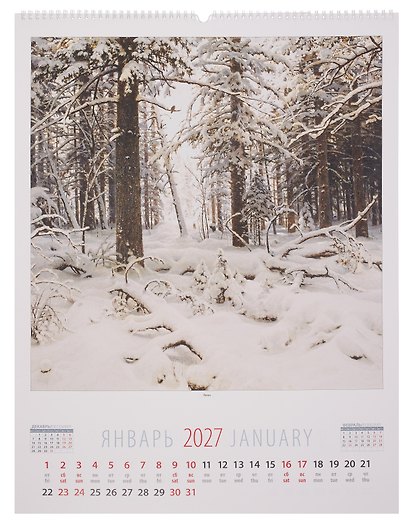 Календарь 2027г 460*600 «Иван Шишкин» настенный, на спирали - фото 3