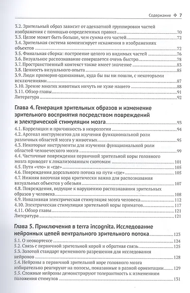 Биологическое и компьютерное зрение - фото 3