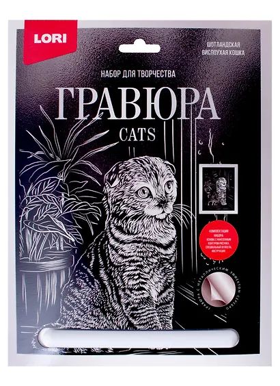 Набор для творчества. Гравюра большая с эффектом серебро "Шотландская вислоухая" - фото 6