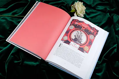 Девять необычайных жизней принцессы. Гайя - фото 13