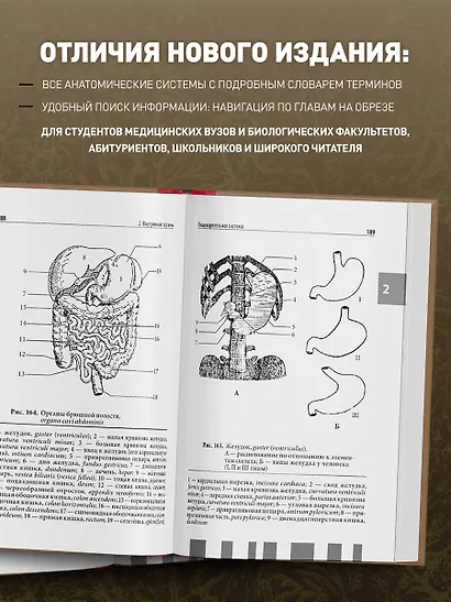 Анатомия человека: полный компактный атлас. 6-е издание - фото 6