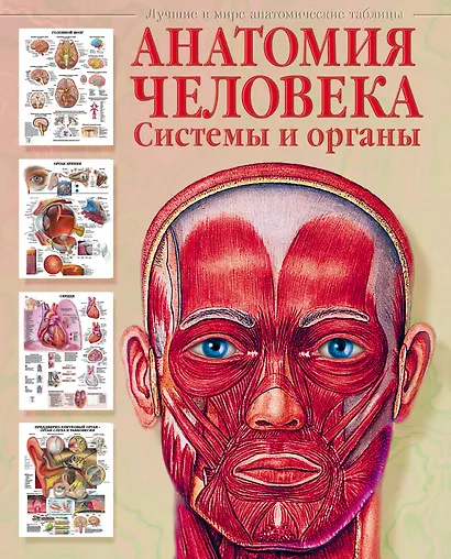 Атлас анатомии человека. Системы и органы - фото 1