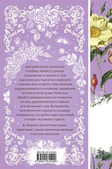 Письмо незнакомки - фото 2