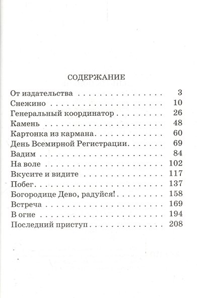 День Господень: Нефантастическая повесть о конце времен. - фото 2