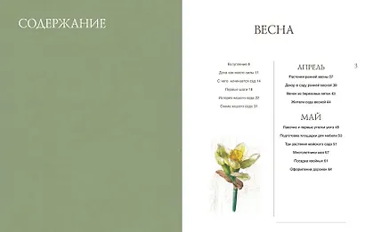 Сад моей мечты. Неспешное создание своего места силы - фото 4