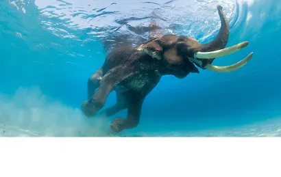 Океаны. Иллюстрированный атлас - фото 9