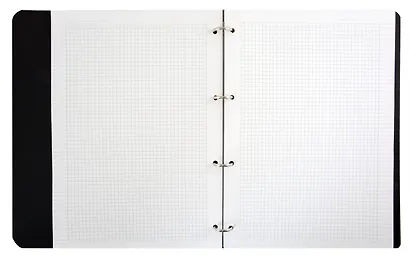 Тетрадь на кольцах в клетку InFolio, "Beauty. Листья", А4, 120 листов - фото 2