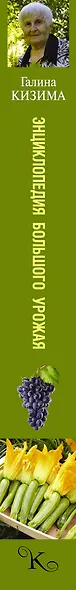 Энциклопедия большого урожая для разумных и ленивых - фото 4